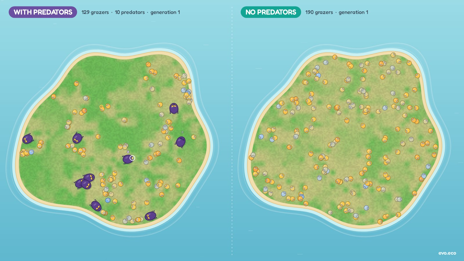 Two islands side by side: grazers share the left island with purple predators; the right island has grazers only.